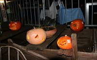 Bild: Halloween in der Altstadt