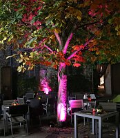Bild: Halloween in der Altstadt