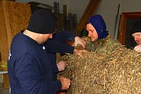 Bild: Kirmesumzug in W&uuml;lfingerode