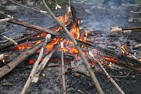 Bild: Camp-Tagebuch