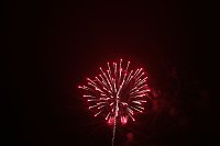 Bild: Martinifeuerwerk 2016