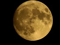 Bild: Gefunden: Der Supermond