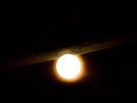 Bild: Gefunden: Der Supermond
