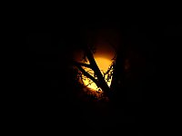 Bild: Gefunden: Der Supermond