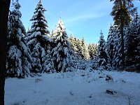 Bild: Nochmal Winter