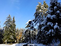 Bild: Nochmal Winter