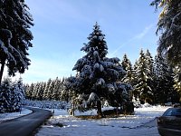 Bild: Nochmal Winter