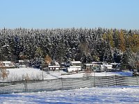 Bild: Nochmal Winter