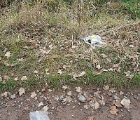 Bild: Vom Wanderweg zur M&uuml;lldeponie