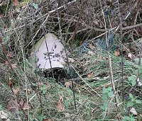 Bild: Vom Wanderweg zur M&uuml;lldeponie