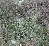 Bild: Vom Wanderweg zur M&uuml;lldeponie