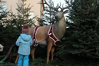 Bild: Weihnachtsmarkt am Nordh&auml;user Theater er&ouml;ffnet