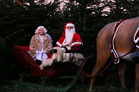 Bild: Es (vor)weihnachtet in Nordhausen