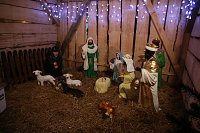 Bild: Es (vor)weihnachtet in Nordhausen