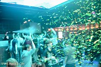 Bild: One F*cking High School Night