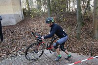 Bild: Querfeldein durchs Nordh&auml;user Gehege