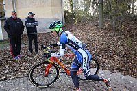 Bild: Querfeldein durchs Nordh&auml;user Gehege