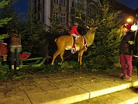 Bild: 1. Advent in Nordhausen