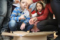 Bild: Da freuen sich nicht nur die Kinder - die EVN will die Preise f&uuml;r Tarifkunden stabil halten