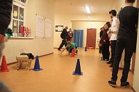 Bild: Volles Haus - der Weihnachtsbasar der Petersbergschule lockte jede Menge Besucher