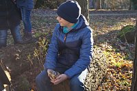 Bild: Advent im Park Hohenrode