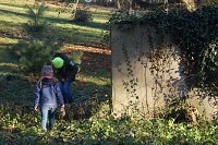 Bild: Advent im Park Hohenrode