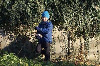 Bild: Advent im Park Hohenrode