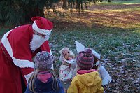 Bild: Advent im Park Hohenrode