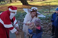 Bild: Advent im Park Hohenrode