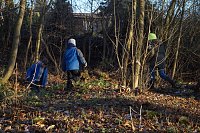 Bild: Advent im Park Hohenrode