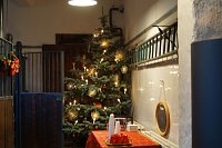 Bild: Advent im Park Hohenrode