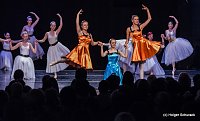 Bild: Die Sch&ouml;ne und das Biest ein Ballettm&auml;rchen.