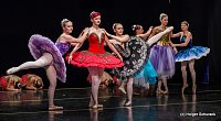 Bild: Die Sch&ouml;ne und das Biest ein Ballettm&auml;rchen.