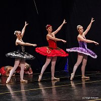 Bild: Die Sch&ouml;ne und das Biest ein Ballettm&auml;rchen.