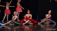 Bild: Die Sch&ouml;ne und das Biest ein Ballettm&auml;rchen.