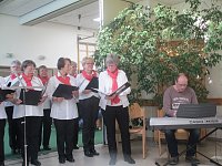 Bild: Konzert in der Lebenshilfe