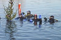 Bild: Ins Warme abgetaucht