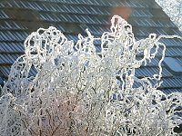 Bild: Ein Traum in Wei&szlig;