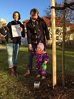 Bild: Baumpate: Hirseland