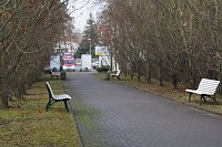 Friedenslicht am Friedhof Bild: Friedenslicht am Friedhof