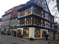 Bild: IFAraner unterwegs in Quedlinburg