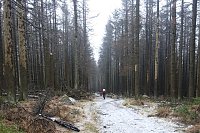 Bild: Heiligabend noch schnell auf den Brocken (2016)
