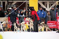 Bild: Schlittenhunderennen in Hasselfelde