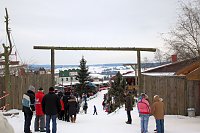 Bild: Schlittenhunderennen in Hasselfelde