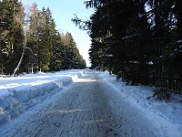 Bild: Schlittenhunderennen in Benneckenstein