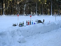 Bild: Schlittenhunderennen in Benneckenstein