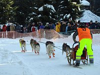 Bild: Schlittenhunderennen in Benneckenstein