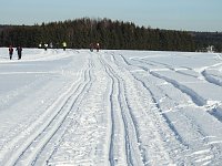 Bild: Schlittenhunderennen in Benneckenstein
