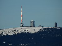 Bild: Schlittenhunderennen in Benneckenstein