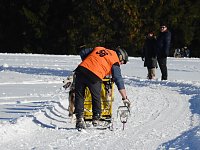 Bild: Schlittenhunderennen in Benneckenstein